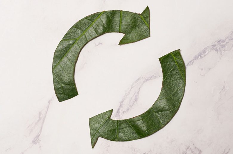 A Circular Economy & The Waste Industry: How Can We Prevent Climate Change?